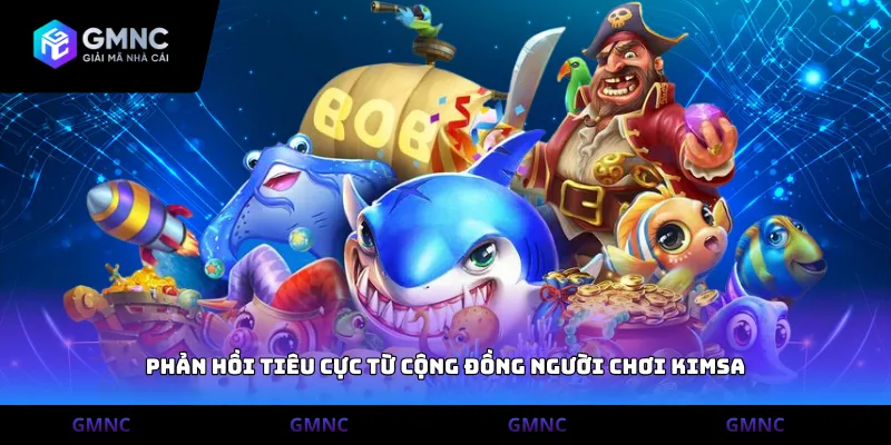 Phản hồi tiêu cực từ cộng đồng người chơi Kimsa